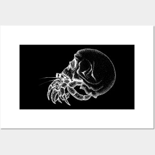 Skull Hermit Crab Posters and Art